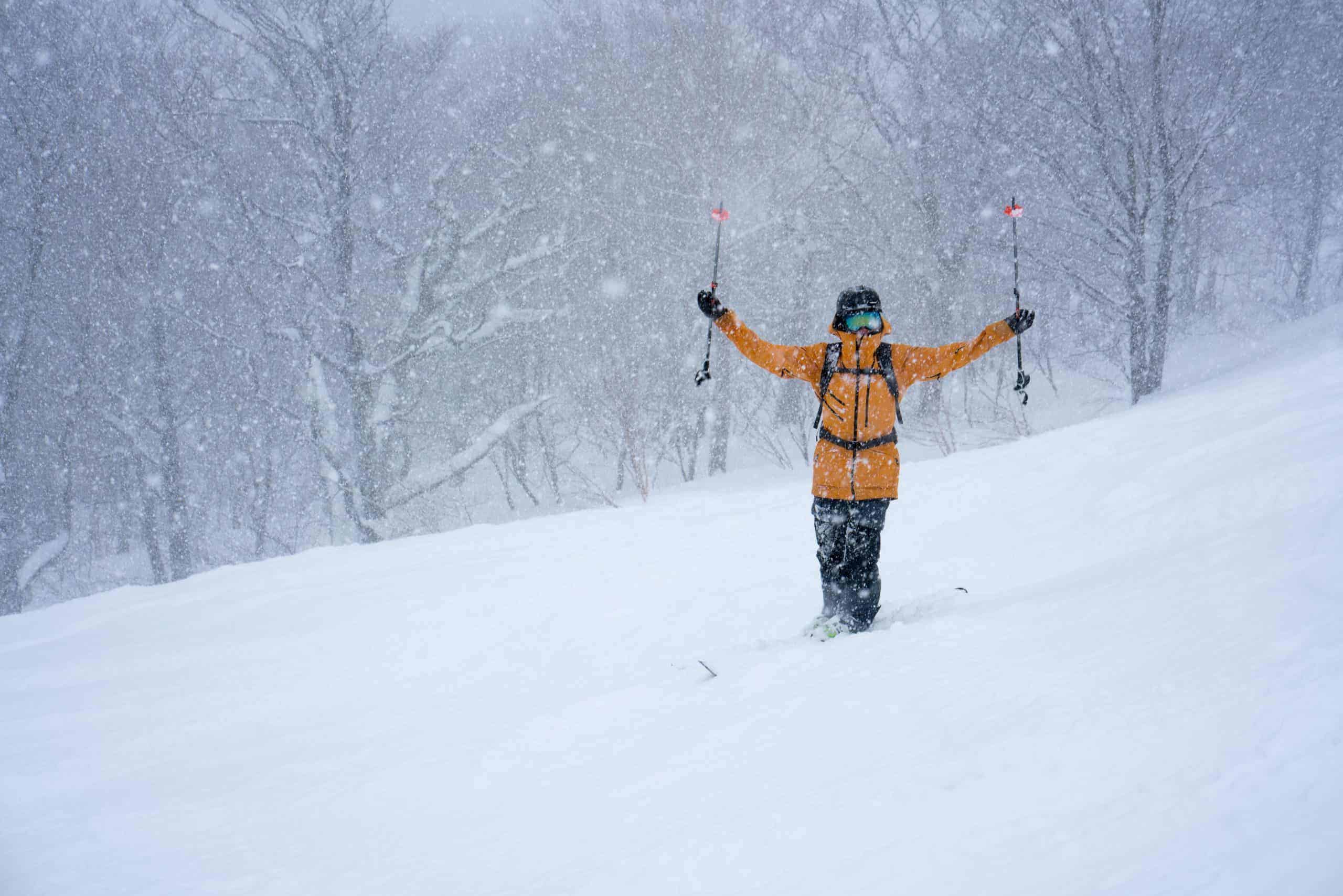 Shizukuishi Powder Day