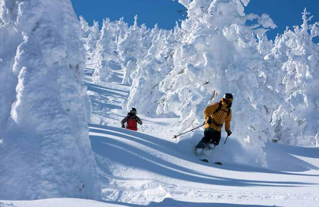 Famous Snow Monsters in Zao