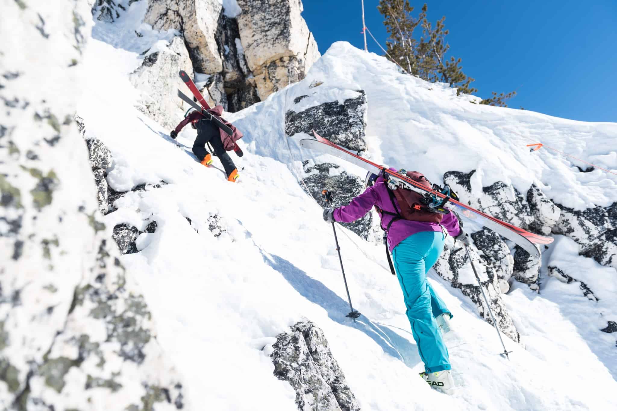 Everything You Need to Know About Kicking Horse MountainWatch Travel