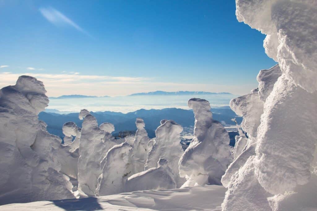 Zao Onsen's famous snow monsters